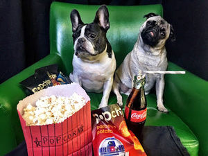 Meet your Posher, Petra